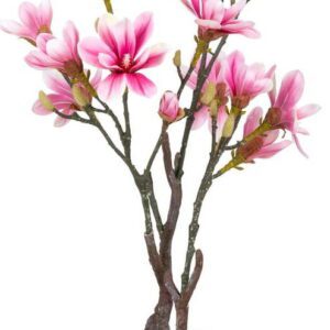 Umělá květina Magnolia – House Nordic. Nejlepší hlášky