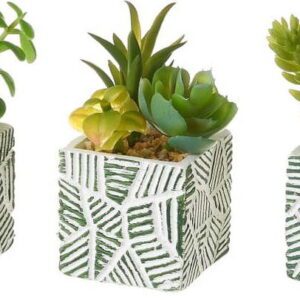 Umělé rostliny v sadě 3 ks (výška 12 cm) Cactus – Casa Selección. Nejlepší hlášky