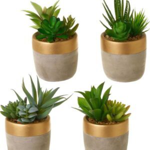 Umělé rostliny v sadě 4 ks (výška 17 cm) Cactus – Casa Selección. Nejlepší hlášky